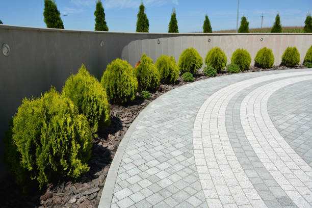 Reasons to Select Us for Your Driveway Paving Requirements in West Monroe, MI